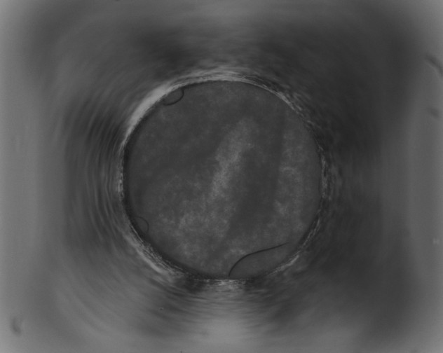 X0000100870056200807181246