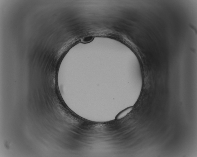X0000100870059200807181246