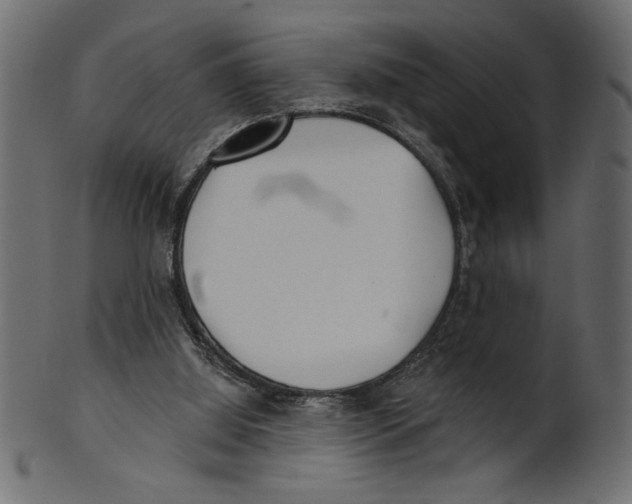 X0000100870060200807181246