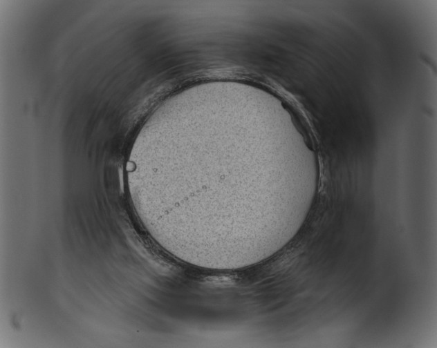 X0000100870061200807181246