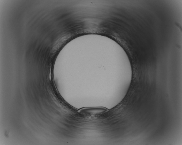 X0000100870062200807181246