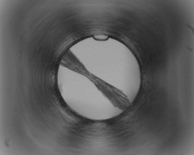 X0000100870063200807181246