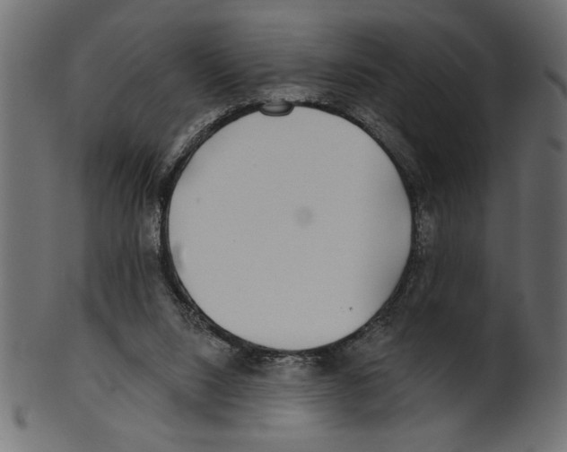 X0000100870064200807181246