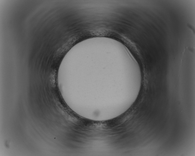 X0000100870065200807181246