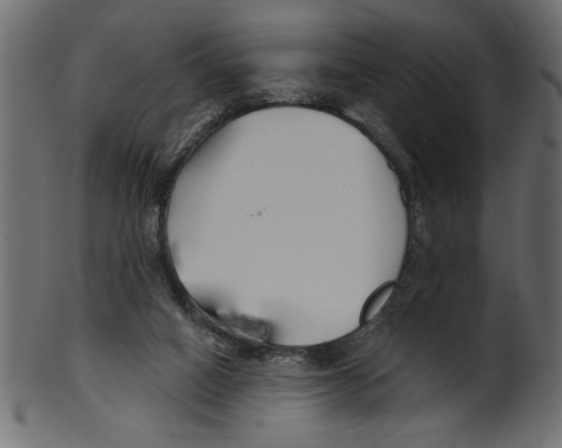 X0000100870066200807181246