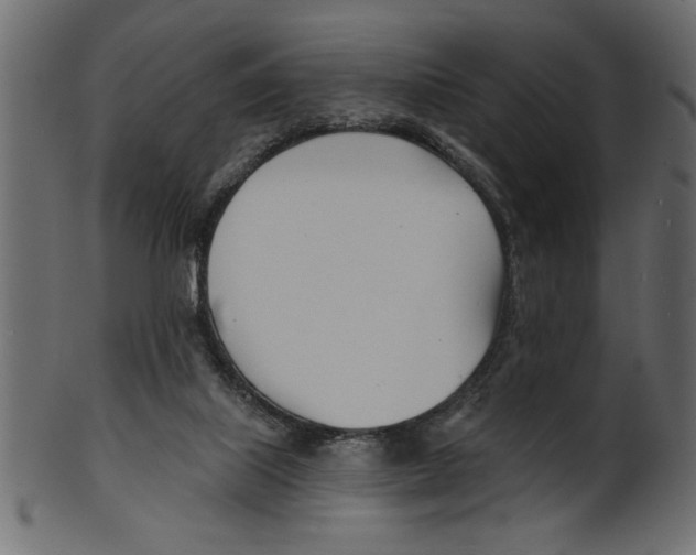 X0000100870067200807181246