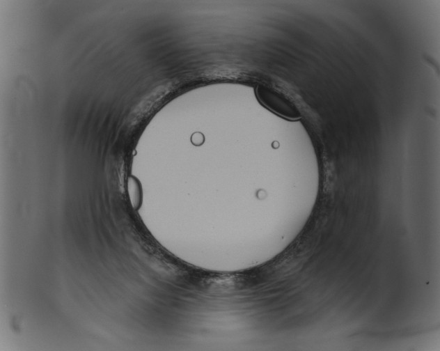 X0000100870068200807181246
