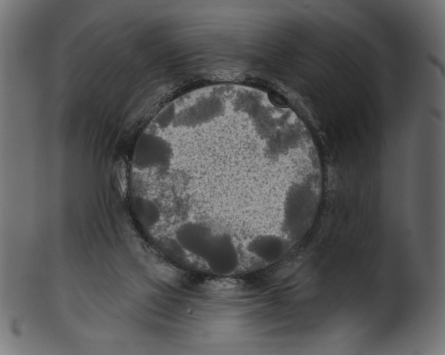 X0000100870069200807181246