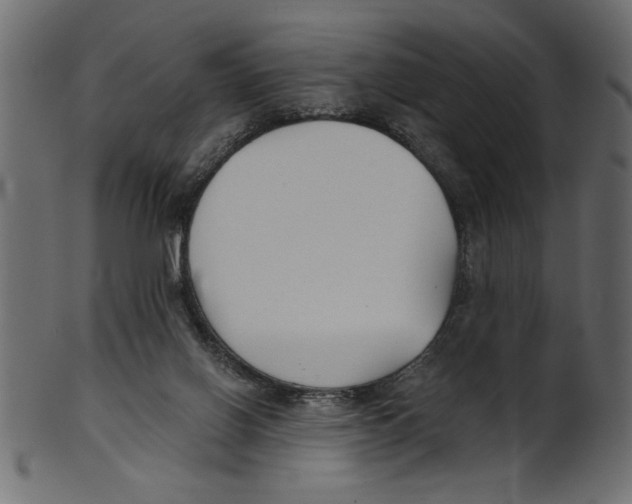 X0000100870070200807181246