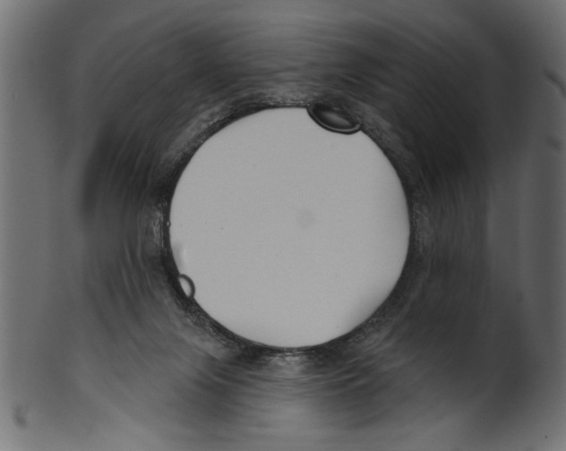 X0000100870071200807181246