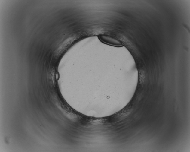 X0000100870072200807181246