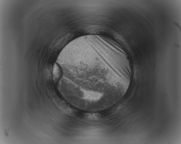 X0000100870073200807181246
