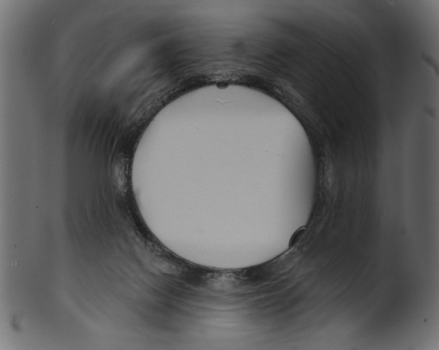 X0000100870074200807181246
