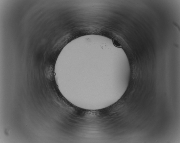 X0000100870077200807181246