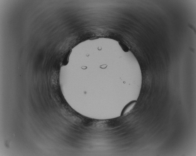 X0000100870078200807181246