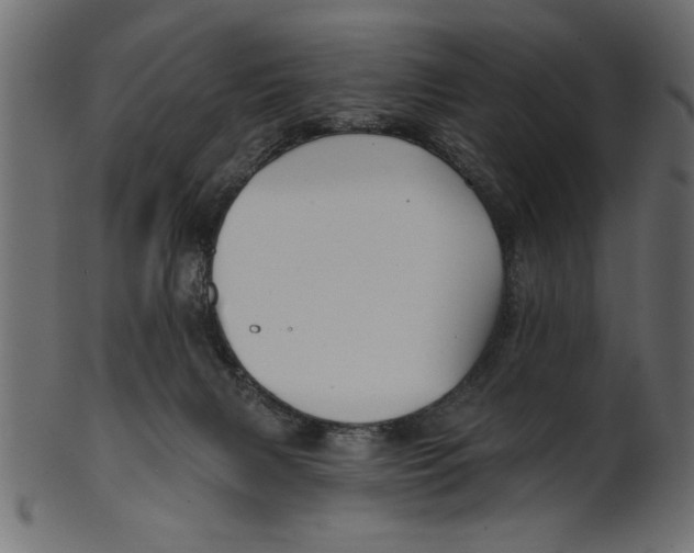 X0000100870079200807181246