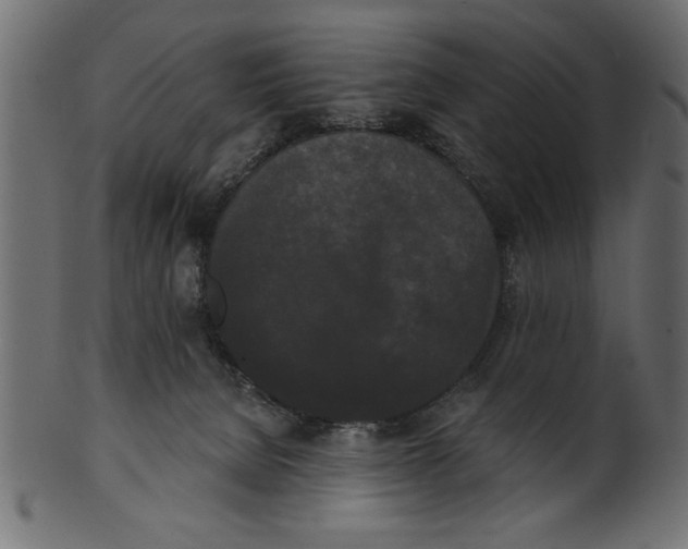 X0000100870080200807181246
