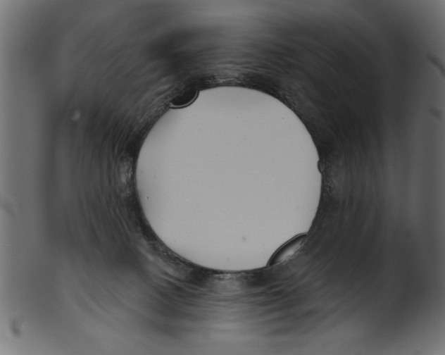 X0000100870082200807181246