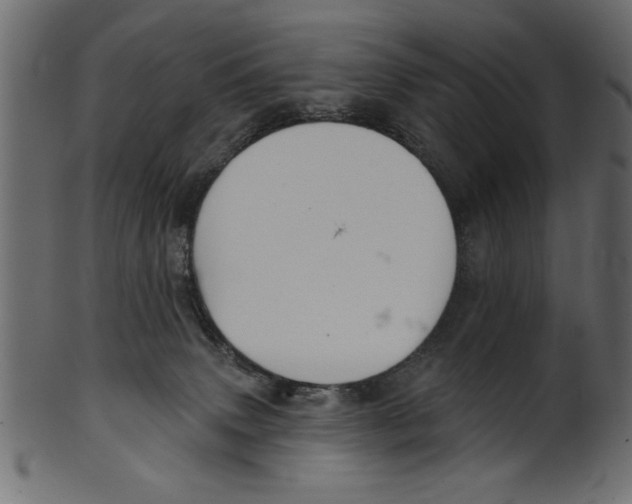 X0000100870083200807181246