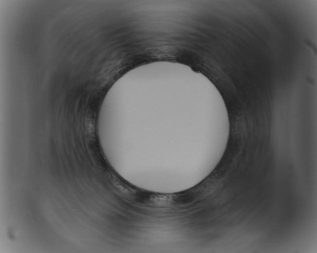 X0000100870084200807181246