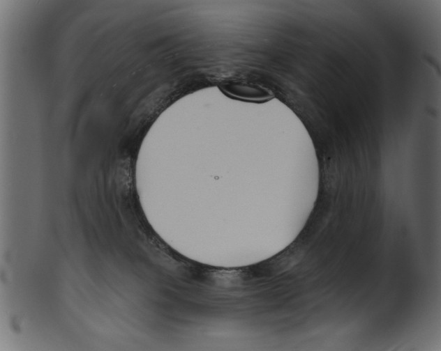 X0000100870085200807181246