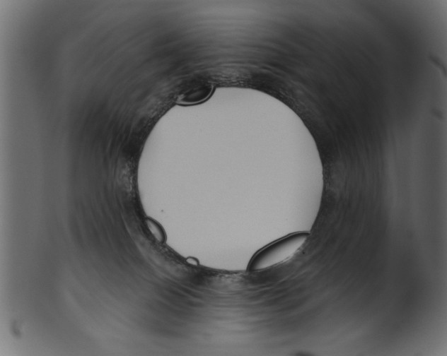 X0000100870086200807181246