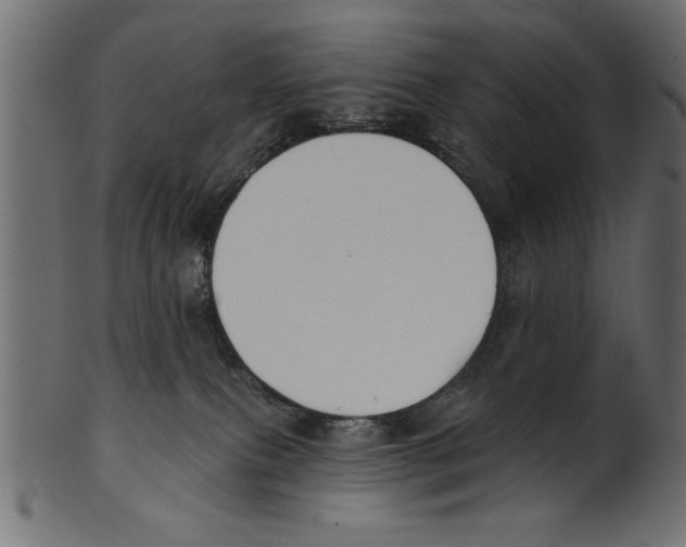 X0000100870087200807181246