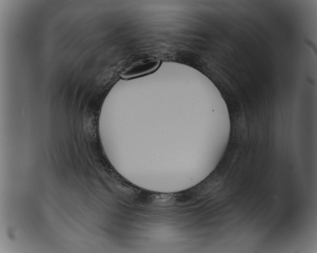X0000100870088200807181246
