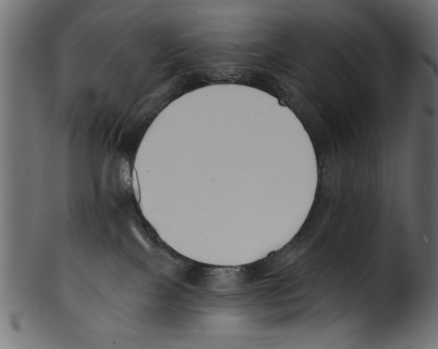 X0000100870089200807181246
