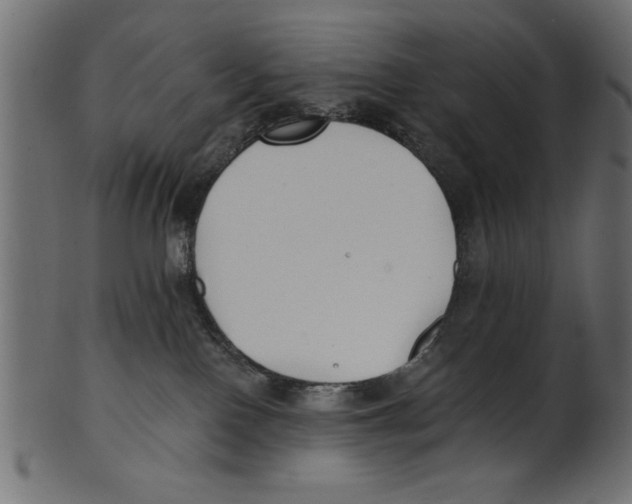 X0000100870090200807181246
