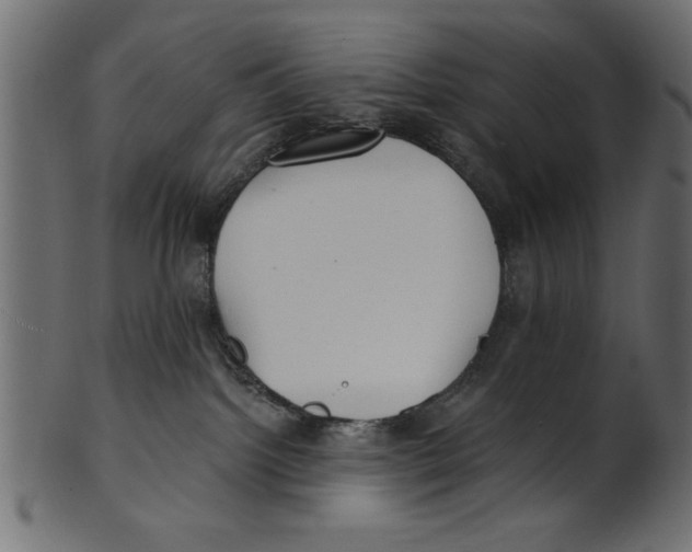 X0000100870092200807181246