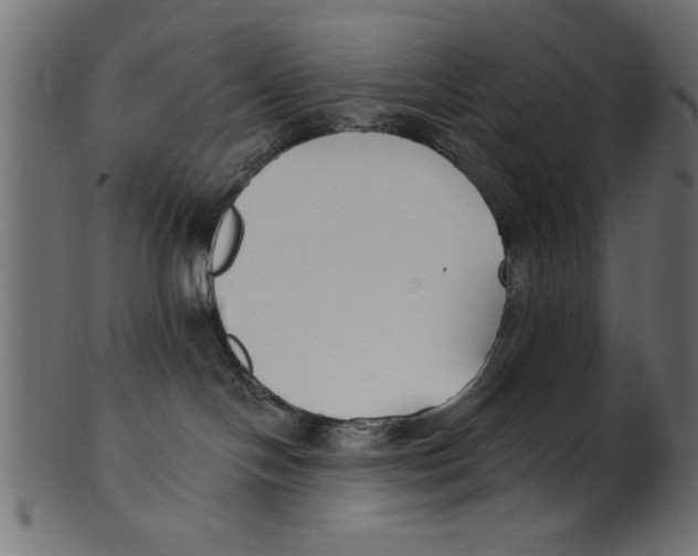 X0000100870094200807181246