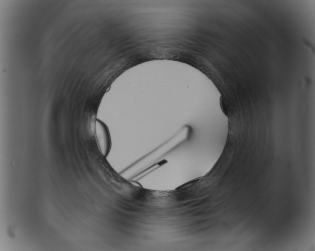 X0000100870095200807181246