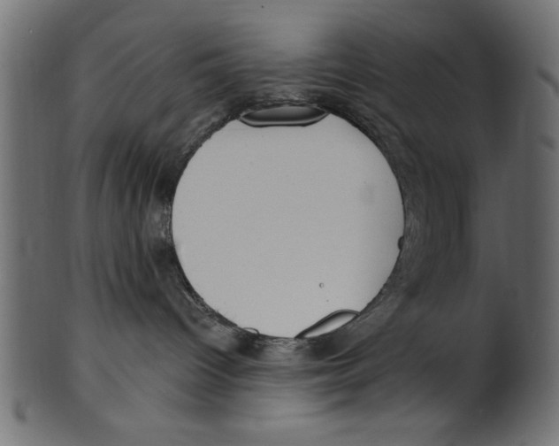 X0000100870096200807181246