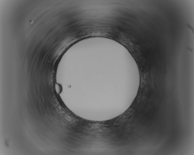 X0000100870098200807181245