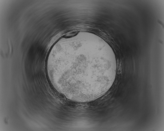 X0000100870099200807181245