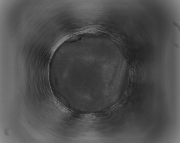 X0000100870100200807181245
