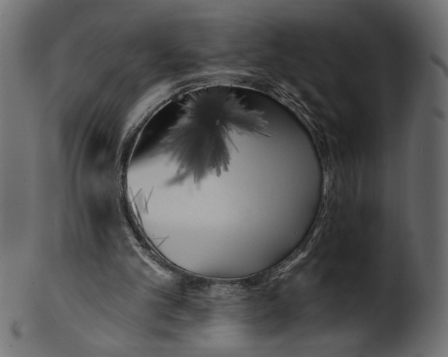 X0000100870101200807181245