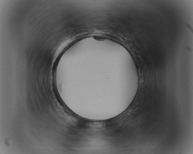 X0000100870102200807181245
