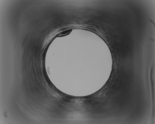 X0000100870103200807181245