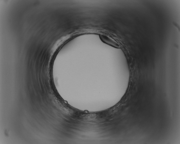 X0000100870104200807181245