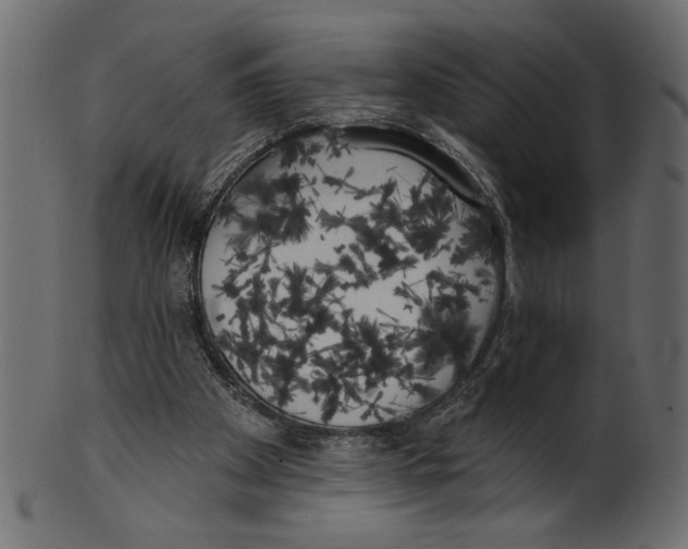 X0000100870105200807181245