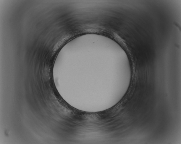 X0000100870106200807181245