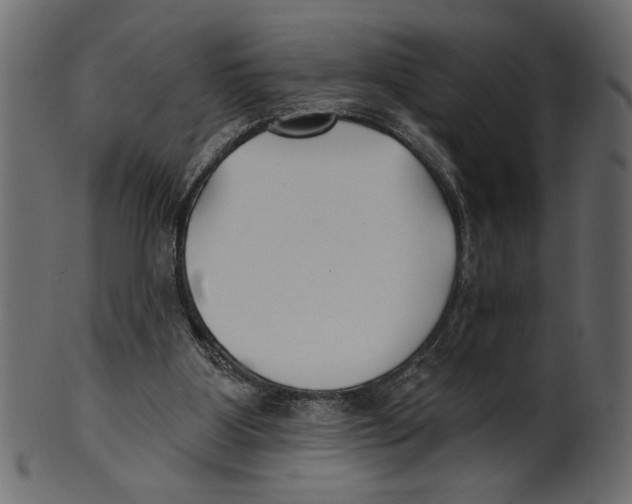 X0000100870107200807181245