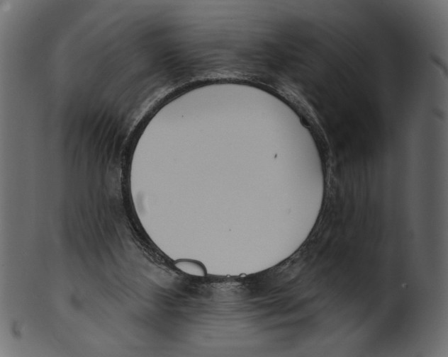 X0000100870108200807181245