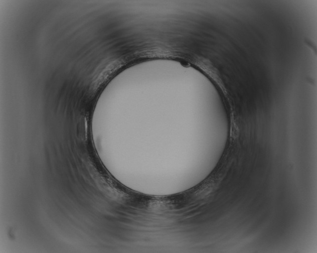 X0000100870109200807181245