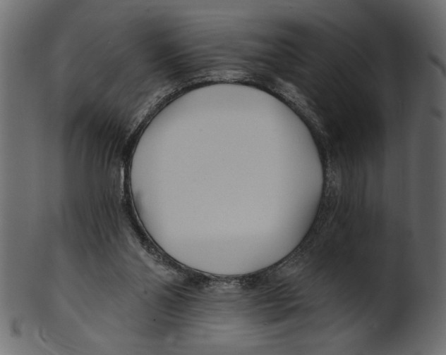 X0000100870110200807181245