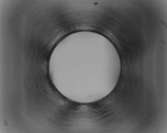 X0000100870111200807181245
