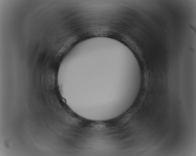 X0000100870113200807181245