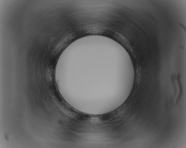 X0000100870114200807181245